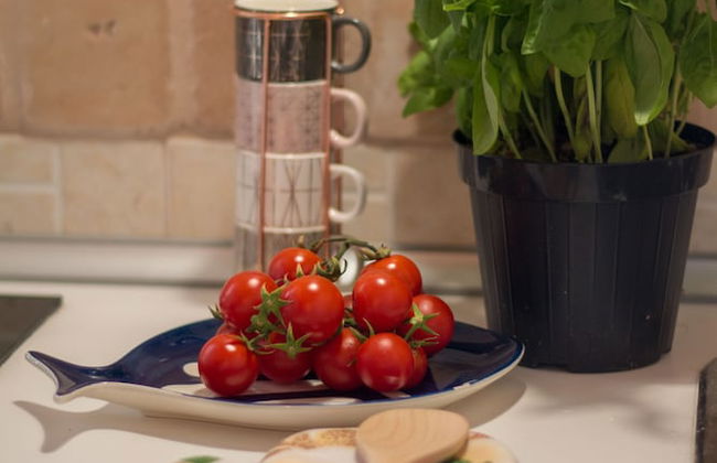 Holiday Monopoli - Foto 26