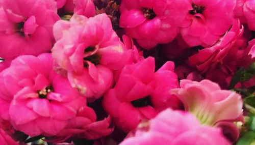 Villino Odaldo - Foto 4