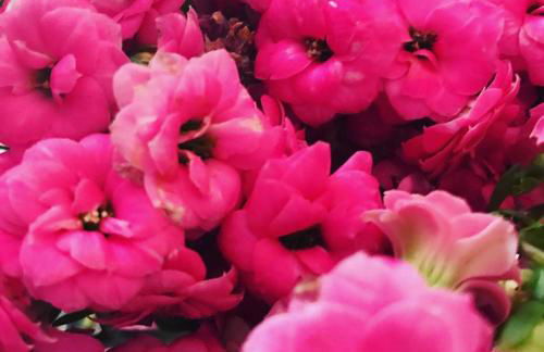 Villino Odaldo - Foto 4