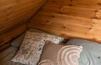 Głuszecki las - Foto 12