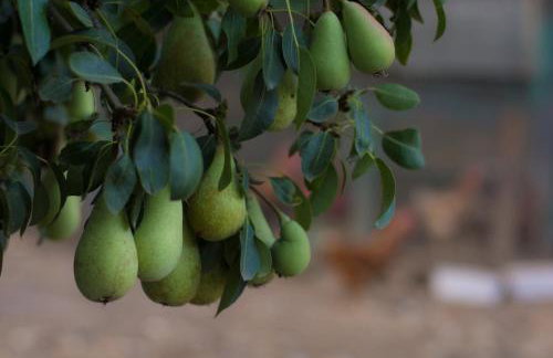 Casa rural Bejeque - Foto 58