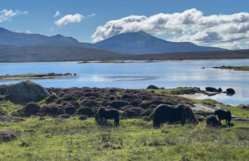 Dun Buidhe - Foto 22