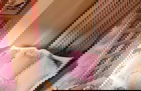 Charming Apartment With Beautiful Views in old Town of Cuenca - Photo 8