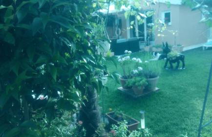 Villa Dolce Vita - Foto 30