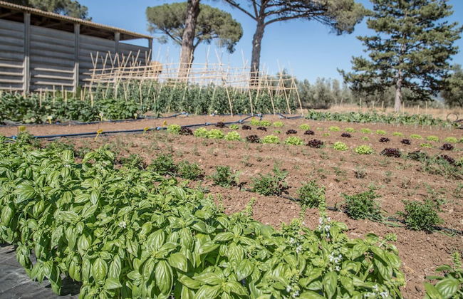 Traldi Resort - Foto 39