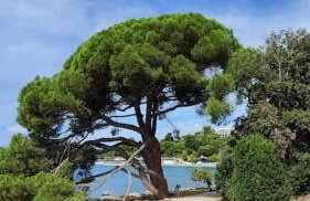 Apartment Nilema Rovinj - Photo 53