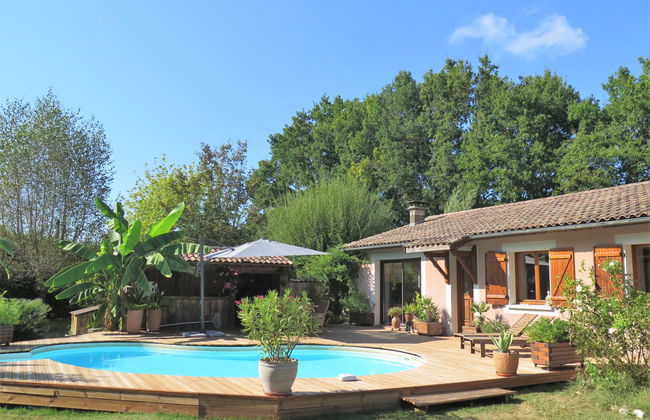 Taste Rebire - Foto 21