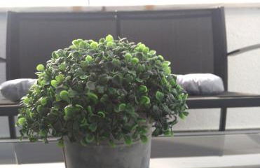 Centro Excelente situación Ático lujo con parking gratuito - Foto 38