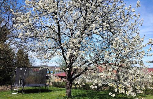 Apartma Laganini - Foto 27