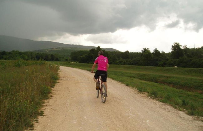 Holiday Home Daska - Photo 18