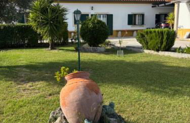 Quinta do Avô - Foto 14