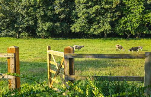 Meadow View - Foto 23