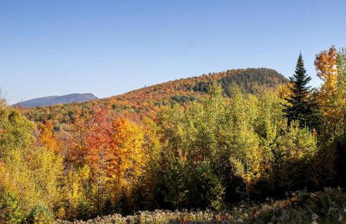 Charming Cabin Rental Perfect for an Adirondack Getaway - Foto 33