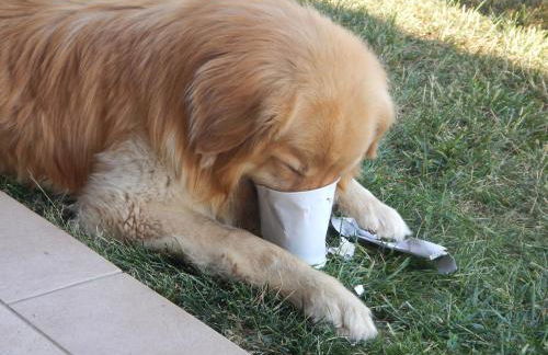 Agriturismo San Michele - Foto 118