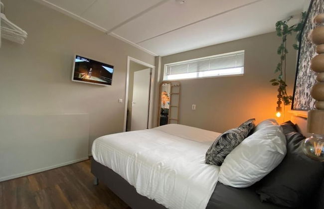 Hakuna Matata - Photo 6