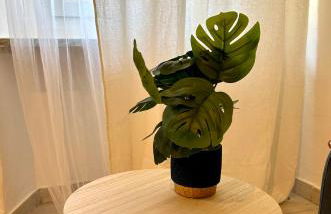 Il GLICINE - Foto 15