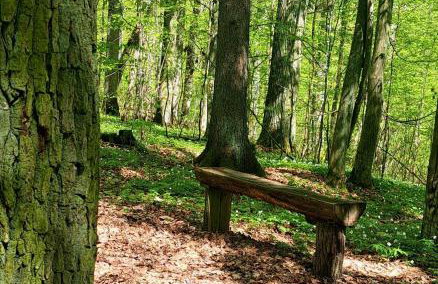 Domki Na Wzgórzu - domek nr 2 - Foto 17