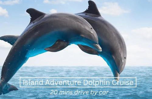 NEW Steps to Downtown - 7 Mins to Beach & Free Parking - Foto 63