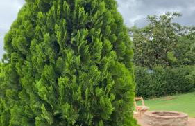 Sítio Canto da Lua - Foto 25