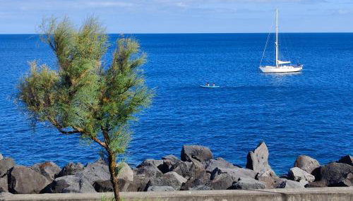 Barrocas Villas Azores - Foto 2