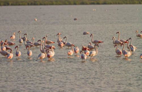 Apartments Delise - Foto 47