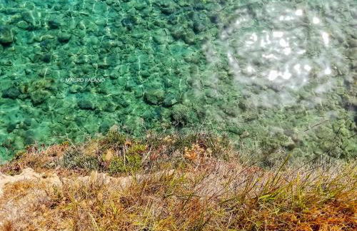 Tenuta Kyrios Agriresort Restaurant & Pool - Foto 64