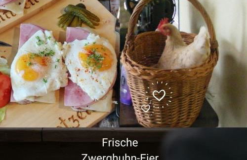 Kleine einzigartige Ferienwohnung auf dem Bauernhof, direkt in der Natur mit Blick auf Schloss Braunfels - Foto 36