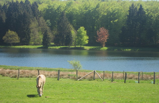 Farmhouse in Basse-bodeux Near Forest - Photo 13