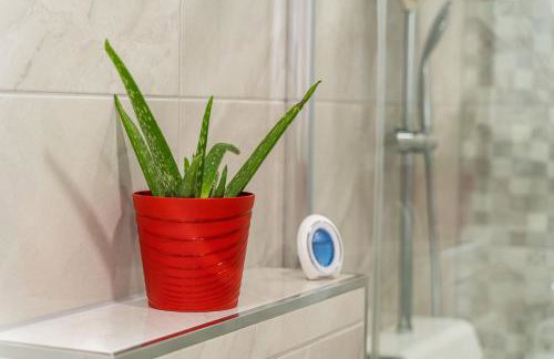 Apartmani Kralj - Foto 35