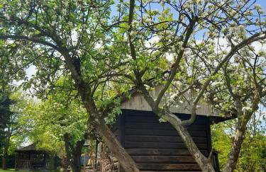 Agroturystyka Stokrotka - Foto 6