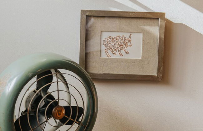 Wyatt's Saloon Guest House 2 - Photo 51