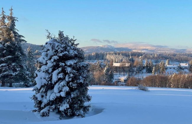 Forest-edge Braunlage Home - Foto 35