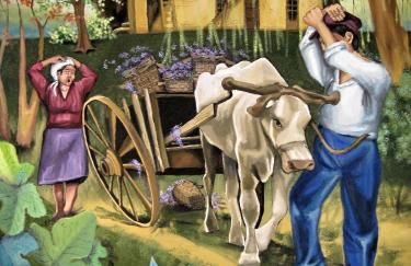 Agriturismo Cascina Ponchietta - Foto 41