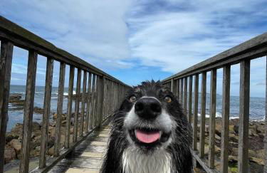 Rowan Tree Cottage, Ballycastle - Foto 23