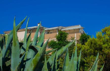 Apartments Stef in Kosljun island Pag - Foto 65