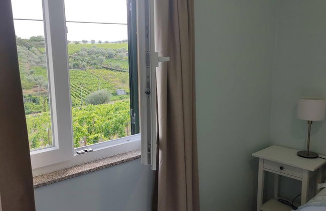 Casa de Vila Seca - Foto 7