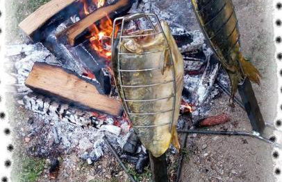 Stara Iža - Foto 26