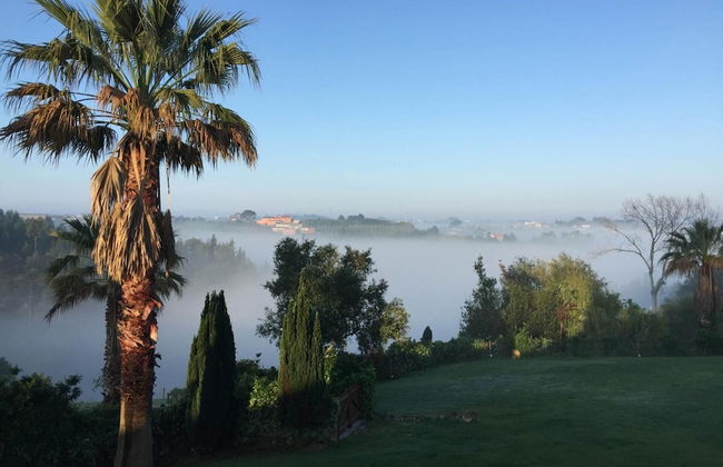 Vida-Vi, Country House and B&B - Foto 42