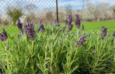 Zielone Zacisze - Foto 47