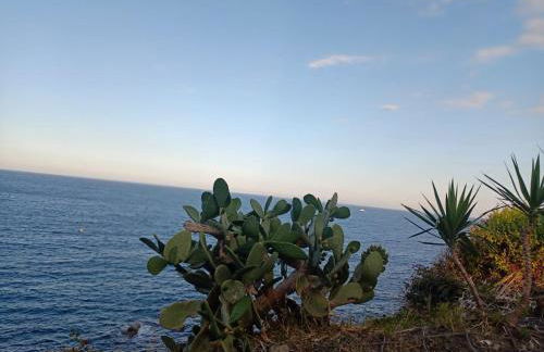 Ognina Soha Home 1 - Foto 20