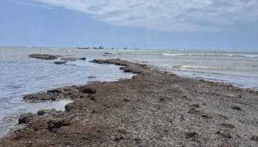 Casa Aconchego - Foto 5