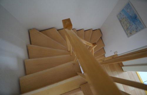 Zaunkönigin - Foto 33