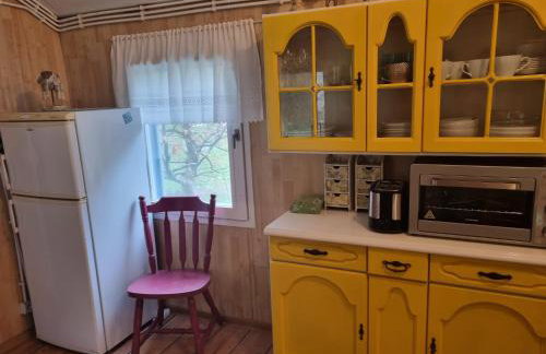 Dom Pod Brzozami Lipinki Bory Tucholskie basen - psy, koty mile widziane! - Photo 22