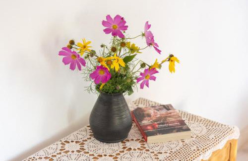 Chata Liska - Foto 10