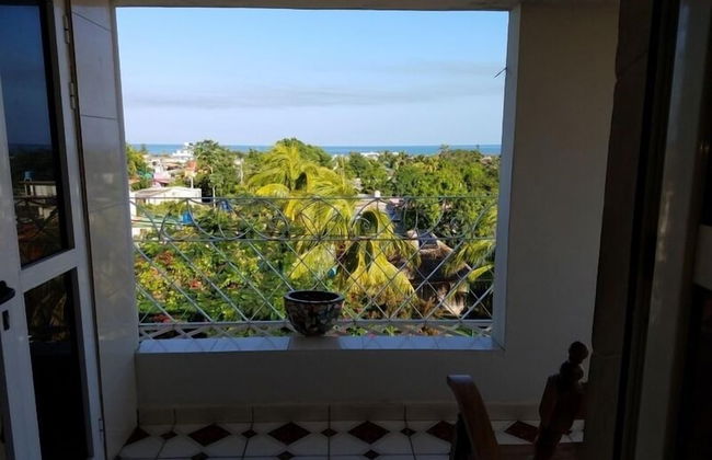 The Island - Photo 10