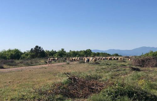 Hideaway Stonehouse pool for 2 Dalmatia Imotski - Foto 38