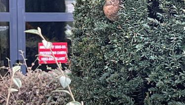 Square Walliser près ZENITH - Foto 3