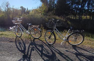 Bouddha Fleurs de Lotus - Foto 17