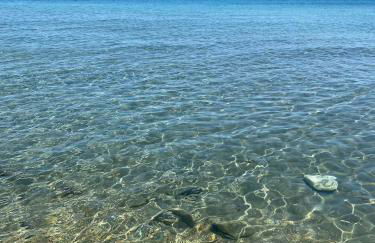 La Ginestra sul mare - Photo 23