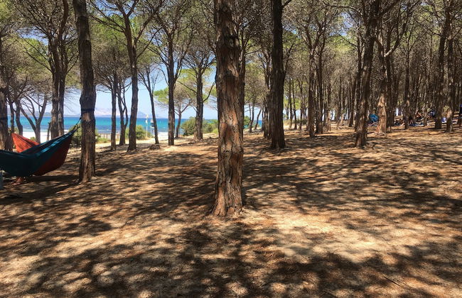 Sa Murta Bianca - Foto 25